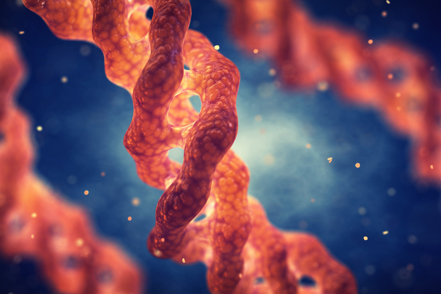 Collagen: The Foundation of Youthful Skin